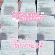 ヒメ日記 2026/04/29 11:05 投稿 ウサギ AMOUR（アムール）