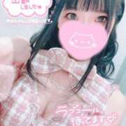 ヒメ日記 2026/05/02 19:02 投稿 ウサギ AMOUR（アムール）