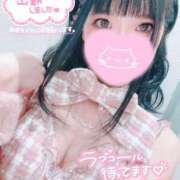 ヒメ日記 2026/05/09 06:15 投稿 ウサギ AMOUR（アムール）
