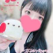 ヒメ日記 2026/05/10 15:02 投稿 ウサギ AMOUR（アムール）