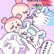 ヒメ日記 2026/05/14 06:04 投稿 ウサギ AMOUR（アムール）