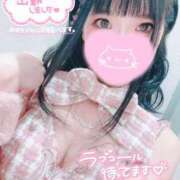 ヒメ日記 2026/06/01 08:02 投稿 ウサギ AMOUR（アムール）