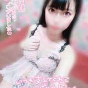 ヒメ日記 2026/06/15 22:53 投稿 ウサギ AMOUR（アムール）