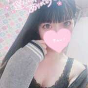 ヒメ日記 2026/06/17 16:02 投稿 ウサギ AMOUR（アムール）