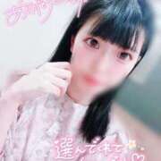 ヒメ日記 2026/06/19 16:01 投稿 ウサギ AMOUR（アムール）