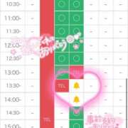 ヒメ日記 2026/06/19 18:02 投稿 ウサギ AMOUR（アムール）