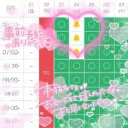 ヒメ日記 2026/06/22 15:08 投稿 ウサギ AMOUR（アムール）