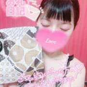 ヒメ日記 2026/06/22 23:30 投稿 ウサギ AMOUR（アムール）