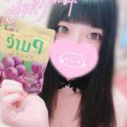 ヒメ日記 2026/07/04 21:31 投稿 ウサギ AMOUR（アムール）