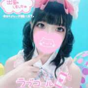 ヒメ日記 2026/07/09 08:31 投稿 ウサギ AMOUR（アムール）