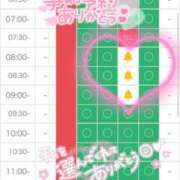 ヒメ日記 2026/07/21 19:02 投稿 ウサギ AMOUR（アムール）