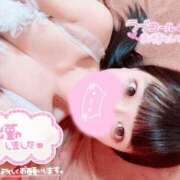 ヒメ日記 2026/07/29 08:02 投稿 ウサギ AMOUR（アムール）