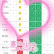 ヒメ日記 2026/08/12 19:09 投稿 ウサギ AMOUR（アムール）