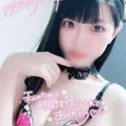 ヒメ日記 2026/08/13 23:24 投稿 ウサギ AMOUR（アムール）