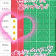 ヒメ日記 2026/08/15 10:31 投稿 ウサギ AMOUR（アムール）