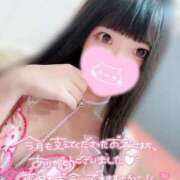 ヒメ日記 2026/08/31 23:31 投稿 ウサギ AMOUR（アムール）
