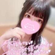 ヒメ日記 2026/09/01 20:03 投稿 ウサギ AMOUR（アムール）
