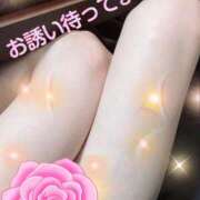 ヒメ日記 2026/03/29 15:30 投稿 はる 性腺熟女100％鶯谷（デリヘル市場）