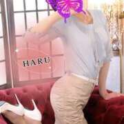 ヒメ日記 2026/04/23 18:35 投稿 はる 性腺熟女100％鶯谷（デリヘル市場）