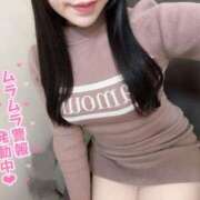 ヒメ日記 2026/04/02 14:24 投稿 夢野ここみ ブルーバード