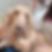 ヒメ日記 2026/04/08 18:00 投稿 めい New Sky