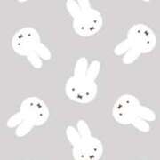 ヒメ日記 2026/04/12 08:49 投稿 めい New Sky