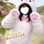 めい おはうさぎ！ New Sky