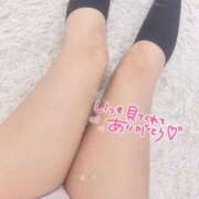 ヒメ日記 2026/04/13 20:48 投稿 井上はるか 大人めシンデレラ 新横浜店（シンデレラグループ）