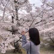 ヒメ日記 2026/03/29 16:22 投稿 にじほ スピードエコ難波店