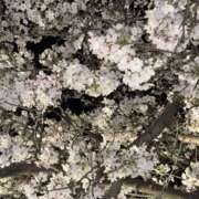 ヒメ日記 2026/04/04 14:52 投稿 にじほ スピードエコ難波店