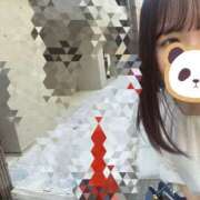 ヒメ日記 2026/05/17 10:54 投稿 ゆめ 秋葉原ハンドメイド