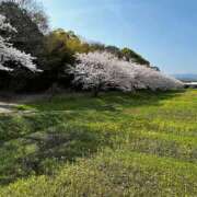 ヒメ日記 2026/03/28 20:57 投稿 樫村二葉 五十路マダム 博多店