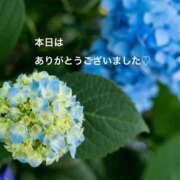 ヒメ日記 2026/06/30 21:16 投稿 樫村二葉 五十路マダム 博多店