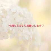 ヒメ日記 2026/07/13 13:37 投稿 樫村二葉 五十路マダム 博多店