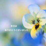 ヒメ日記 2026/07/24 16:40 投稿 樫村二葉 五十路マダム 博多店