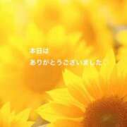 ヒメ日記 2026/08/12 15:33 投稿 樫村二葉 五十路マダム 博多店