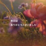 ヒメ日記 2026/08/12 16:27 投稿 樫村二葉 五十路マダム 博多店