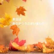 ヒメ日記 2026/09/22 15:47 投稿 樫村二葉 五十路マダム 博多店