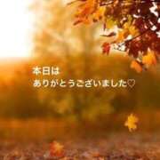 ヒメ日記 2026/09/22 15:57 投稿 樫村二葉 五十路マダム 博多店
