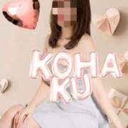 ヒメ日記 2026/04/29 09:58 投稿 こはく 脱がされたい人妻 熊谷店