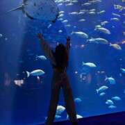 ヒメ日記 2026/03/29 04:01 投稿 まどか Linda＆Linda(リンダリンダ)