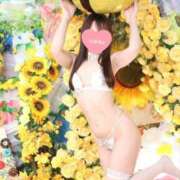 ヒメ日記 2026/07/02 17:11 投稿 ゆうか 桜色学園