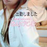 ヒメ日記 2026/09/29 12:02 投稿 ゆうか 桜色学園