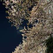 ヒメ日記 2026/04/06 03:36 投稿 るあ 制服これくしょん