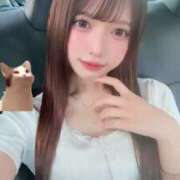 ヒメ日記 2026/07/10 01:50 投稿 うに 君を舐めたくて学園