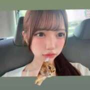 ヒメ日記 2026/07/21 18:50 投稿 うに 君を舐めたくて学園