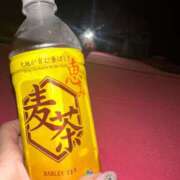 ヒメ日記 2026/04/03 10:08 投稿 ツクシ【小柄な麗し美少女】 ドＭなバニーちゃん小倉店