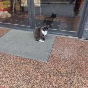 ヒメ日記 2026/04/04 10:23 投稿 ツクシ【小柄な麗し美少女】 ドＭなバニーちゃん小倉店