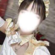ヒメ日記 2026/06/09 00:16 投稿 ツクシ【小柄な麗し美少女】 ドＭなバニーちゃん小倉店