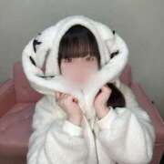 ヒメ日記 2026/04/14 20:36 投稿 ぱん IRIS(岐阜)